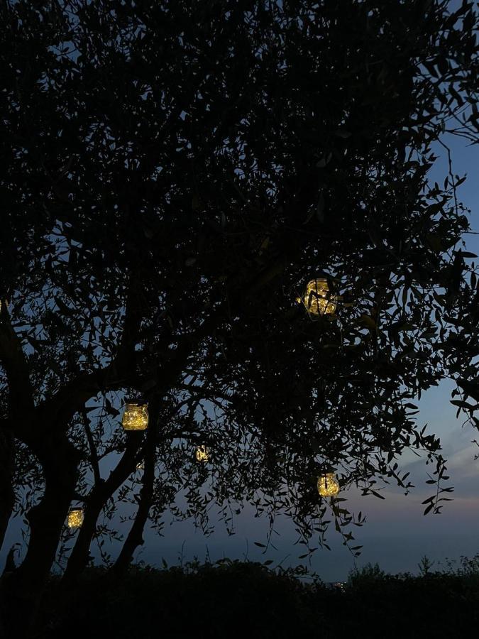 La Terrazza Sulla Versilia Pietrasanta Dış mekan fotoğraf