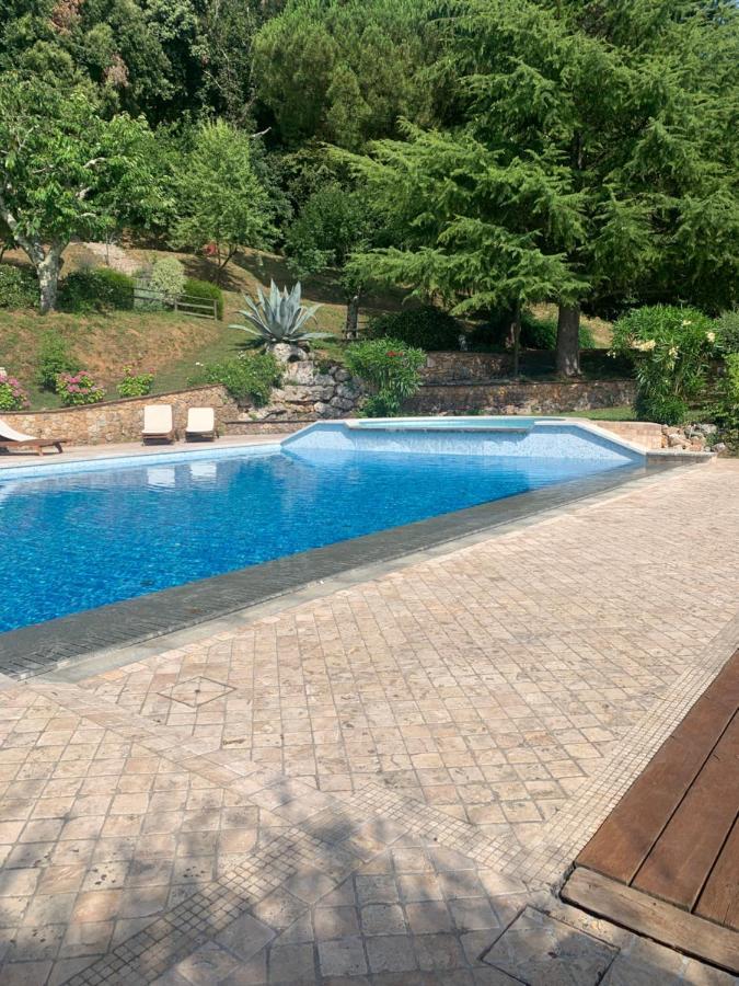 La Terrazza Sulla Versilia Pietrasanta Dış mekan fotoğraf