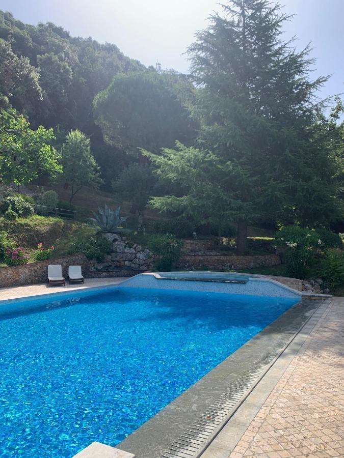 La Terrazza Sulla Versilia Pietrasanta Dış mekan fotoğraf