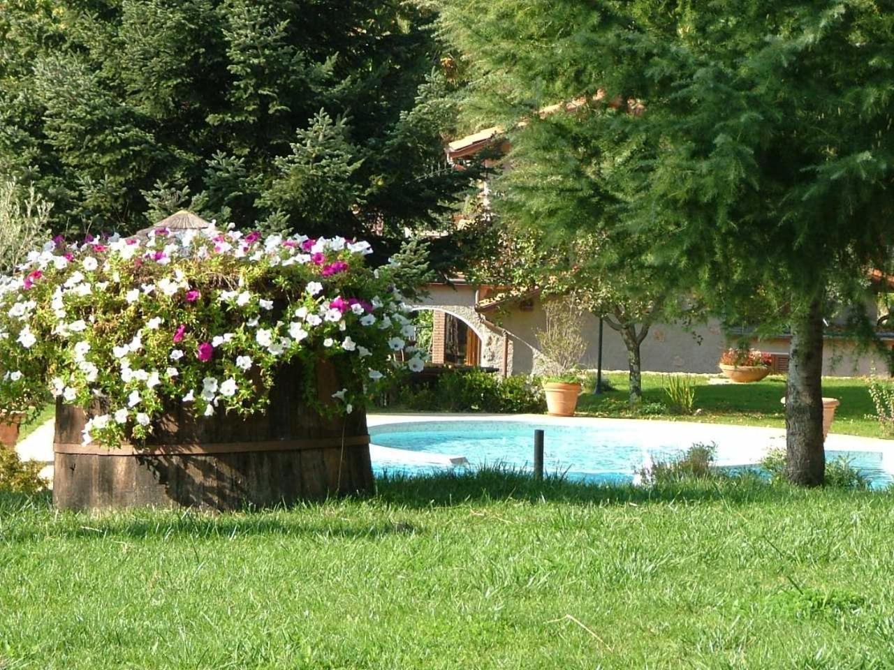 La Terrazza Sulla Versilia Pietrasanta Dış mekan fotoğraf