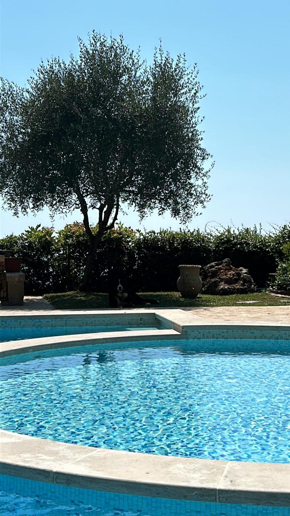 La Terrazza Sulla Versilia Pietrasanta Dış mekan fotoğraf