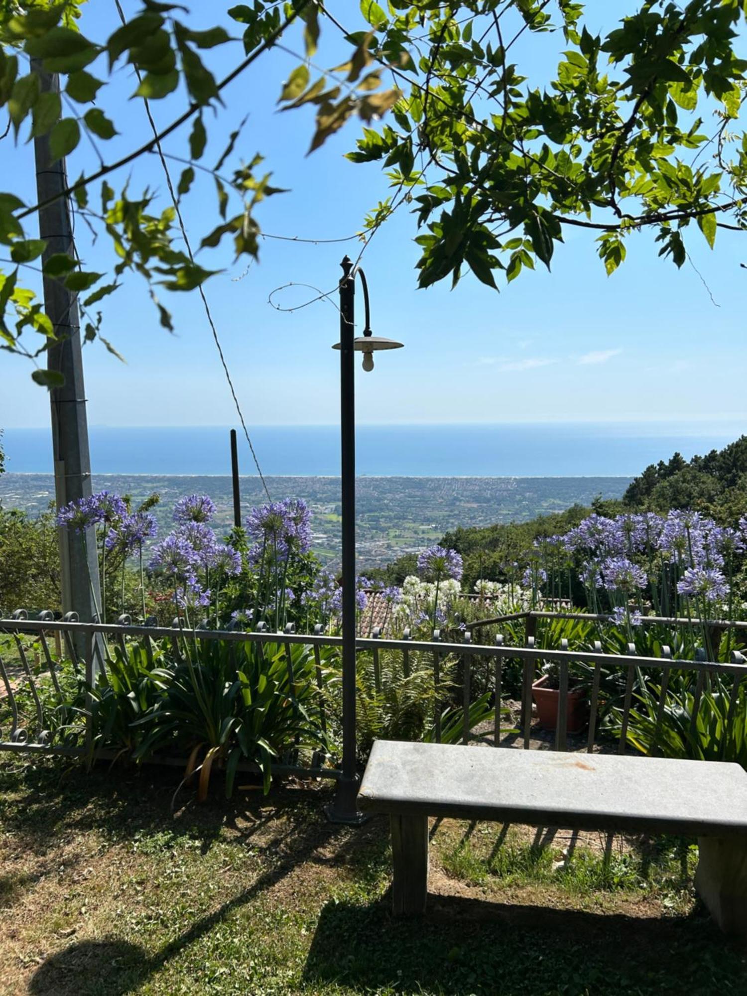 La Terrazza Sulla Versilia Pietrasanta Dış mekan fotoğraf
